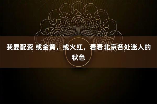 我要配资 或金黄,或火红,看看北京各处迷人的秋色